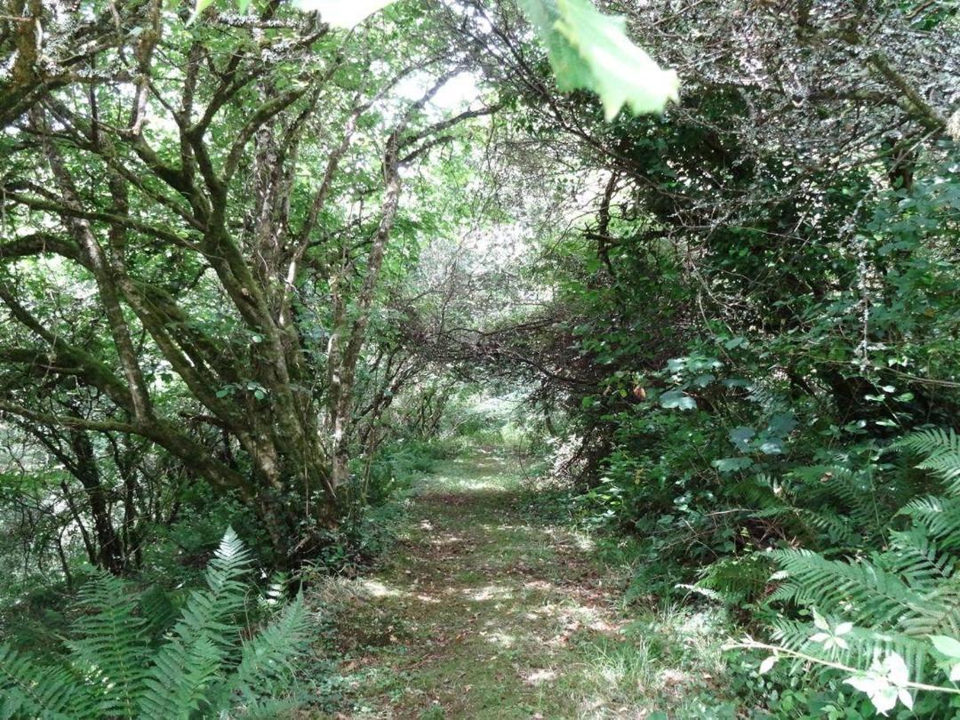 Badger Cottage Mawgan Extérieur photo