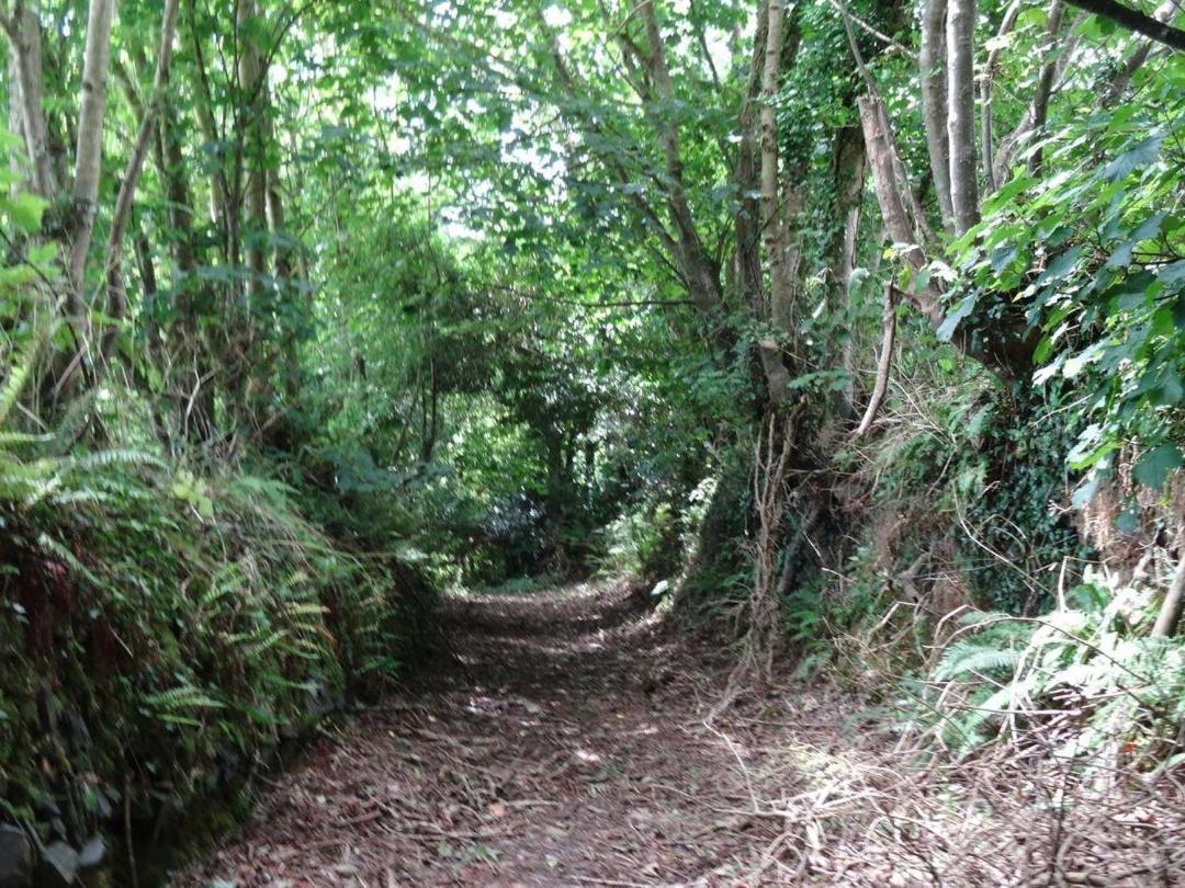 Badger Cottage Mawgan Extérieur photo